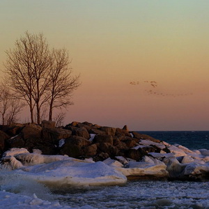Scarborough Bluffs winter shoot out