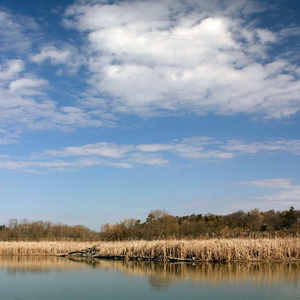 Rouge Beach Park landscape