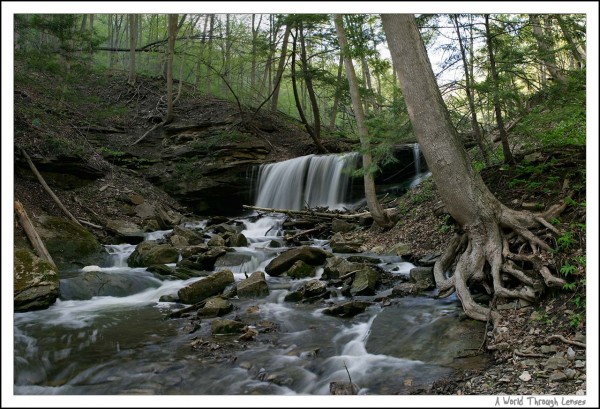 Lower Tews Falls