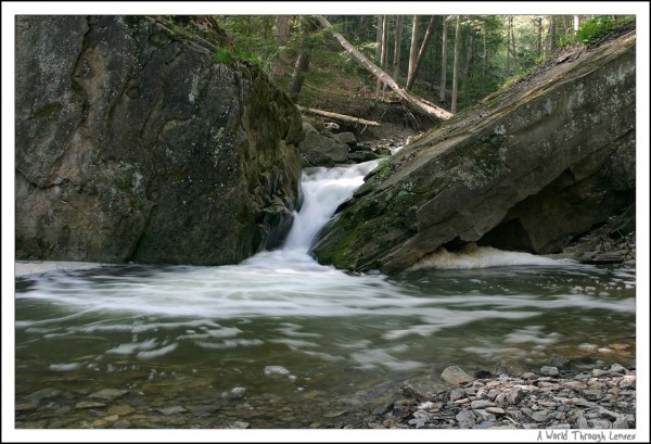 Logie's Creek Rapids