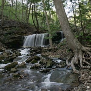 Spencer Gorge Conservation Area landscape photography