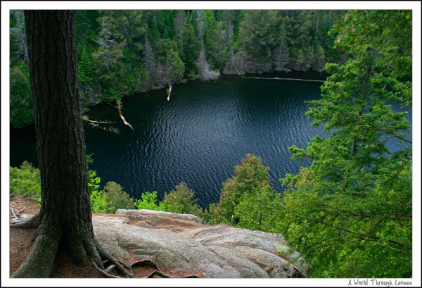 Hemlock bluff trail