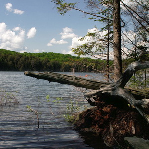 Algonquin park cottage trip