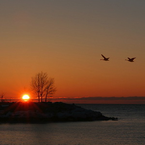 Sunrise at the Scarborough Bluffs