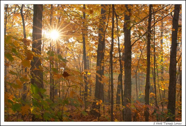 Fall Color at Canisbay Lake