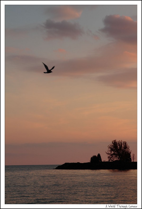 Scarborough bluff sunset